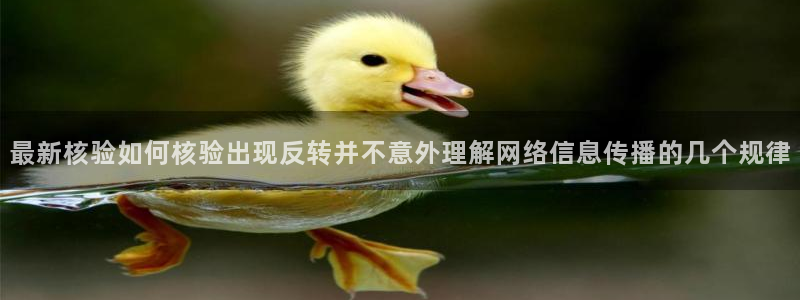 黑料爆料网页入口