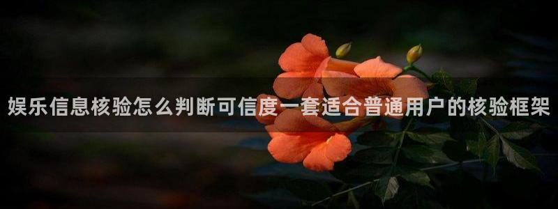 今日资讯爆料