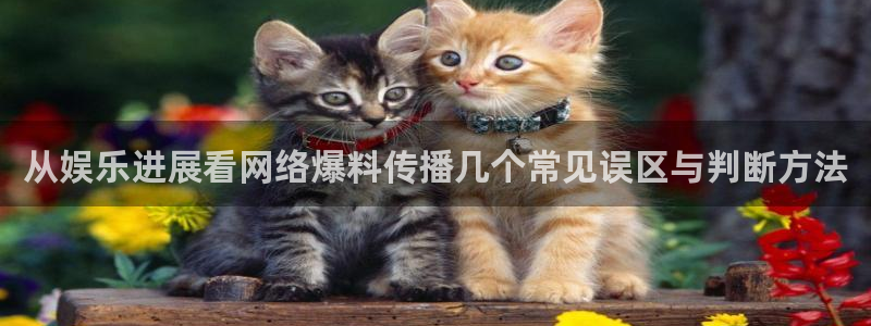 黑料爆料今日热点网
