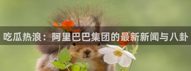 资讯爆料网