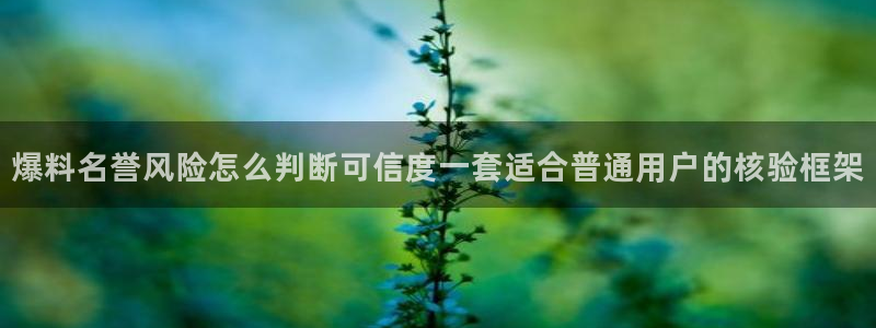 黑料热点:爆料名誉风险怎么判断可信度一套适合普通用户的核验框架