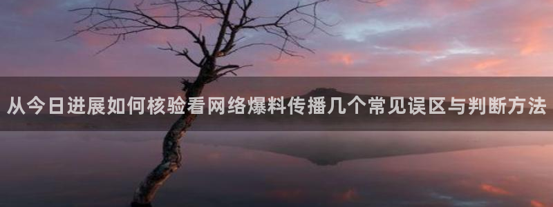 网络热门爆料:从今日进展如何核验看网络爆料传播几个常见误区与判断方法