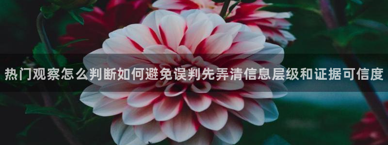 黑料热门热点