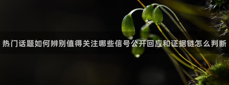 黑料爆料热点内容