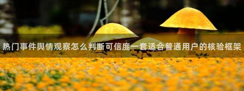 黑料爆料资讯搜索